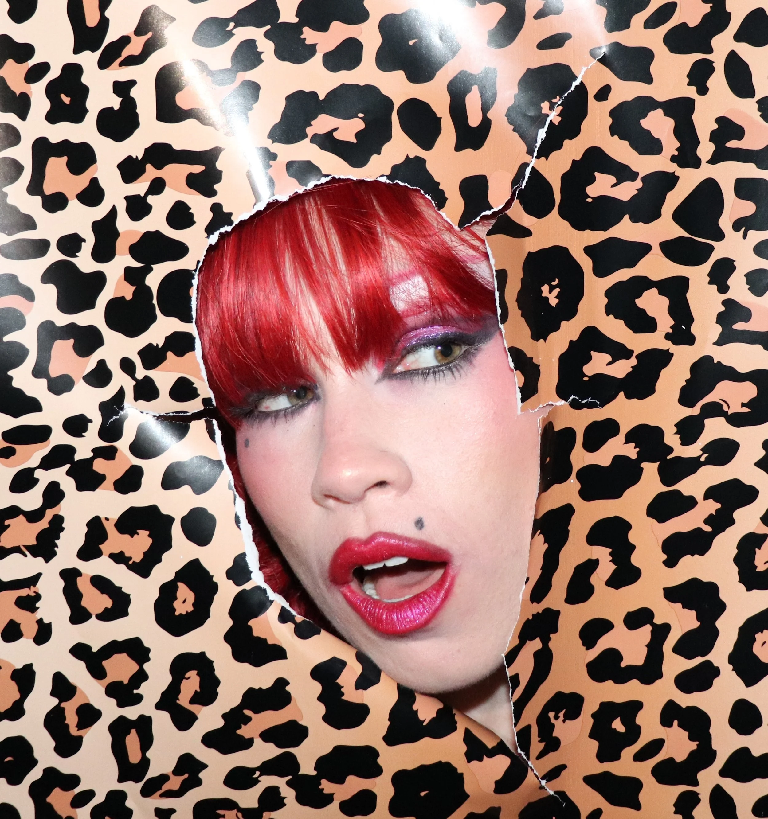 Fran Darling